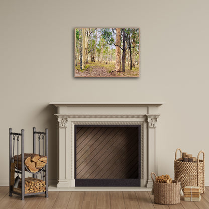 "Eucalyptus Elegance" - Fine Art Photography