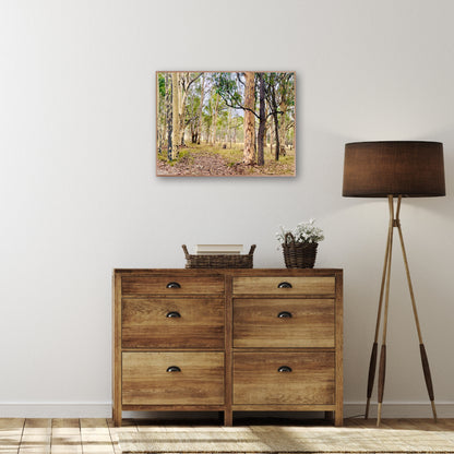 "Eucalyptus Elegance" - Fine Art Photography