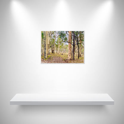 "Eucalyptus Elegance" - Fine Art Photography