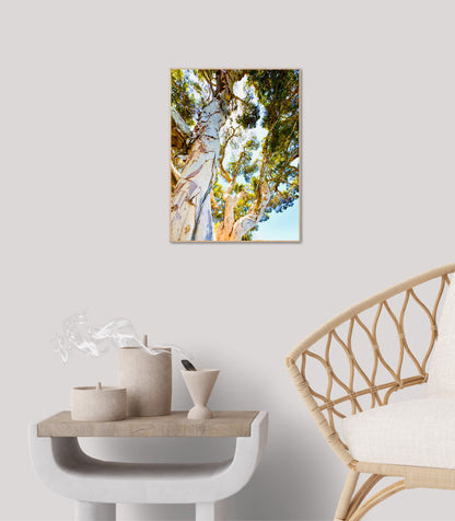 "Watching Beauty Unfold" Fine Art Photography