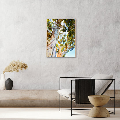 "Watching Beauty Unfold" Fine Art Photography