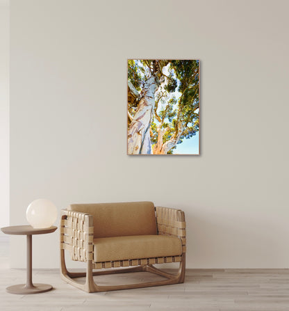 "Watching Beauty Unfold" Fine Art Photography