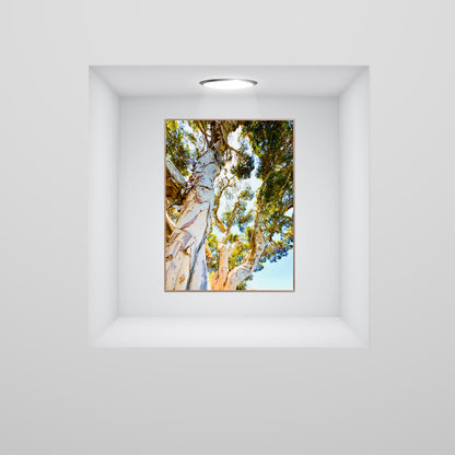 "Watching Beauty Unfold" Fine Art Photography