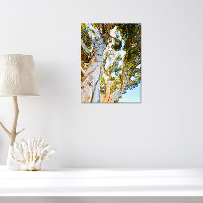 "Watching Beauty Unfold" Fine Art Photography