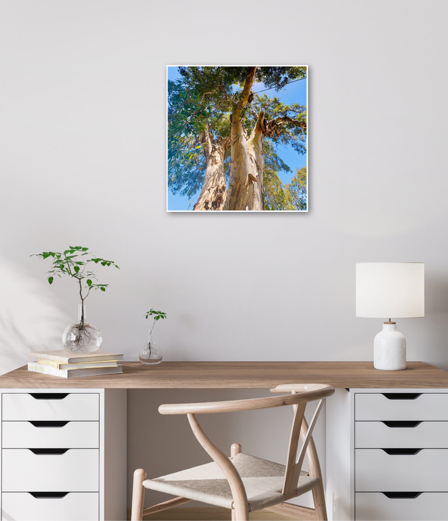 "Reaching for the Sky" Fine Art Photography