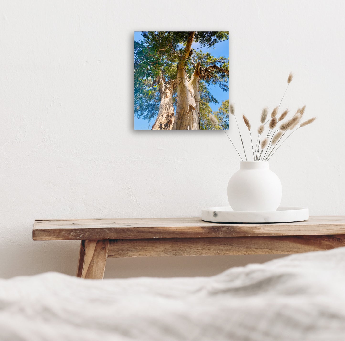 "Reaching for the Sky" Fine Art Photography