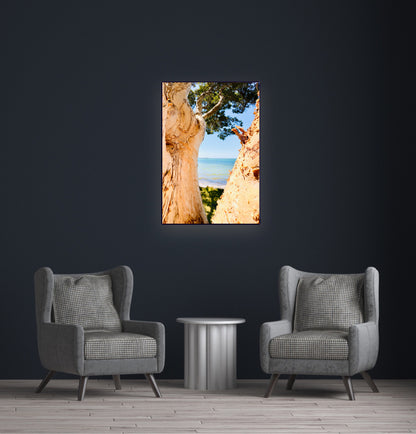 "Blue Waters Through the Bark" Fine Art Photography