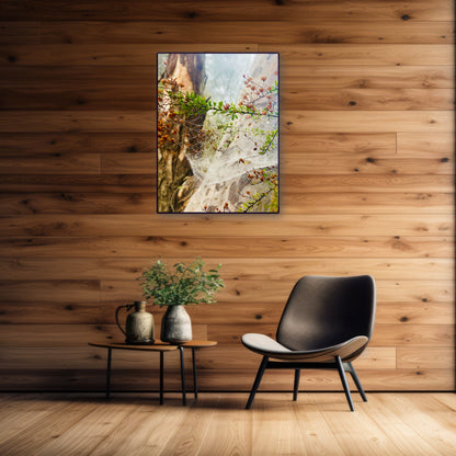 "Web of Wonders"  Fine Art Photography