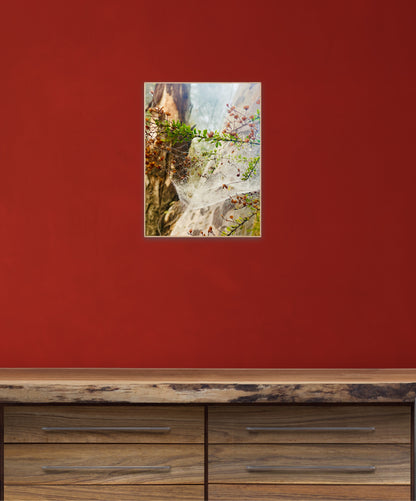 "Web of Wonders"  Fine Art Photography