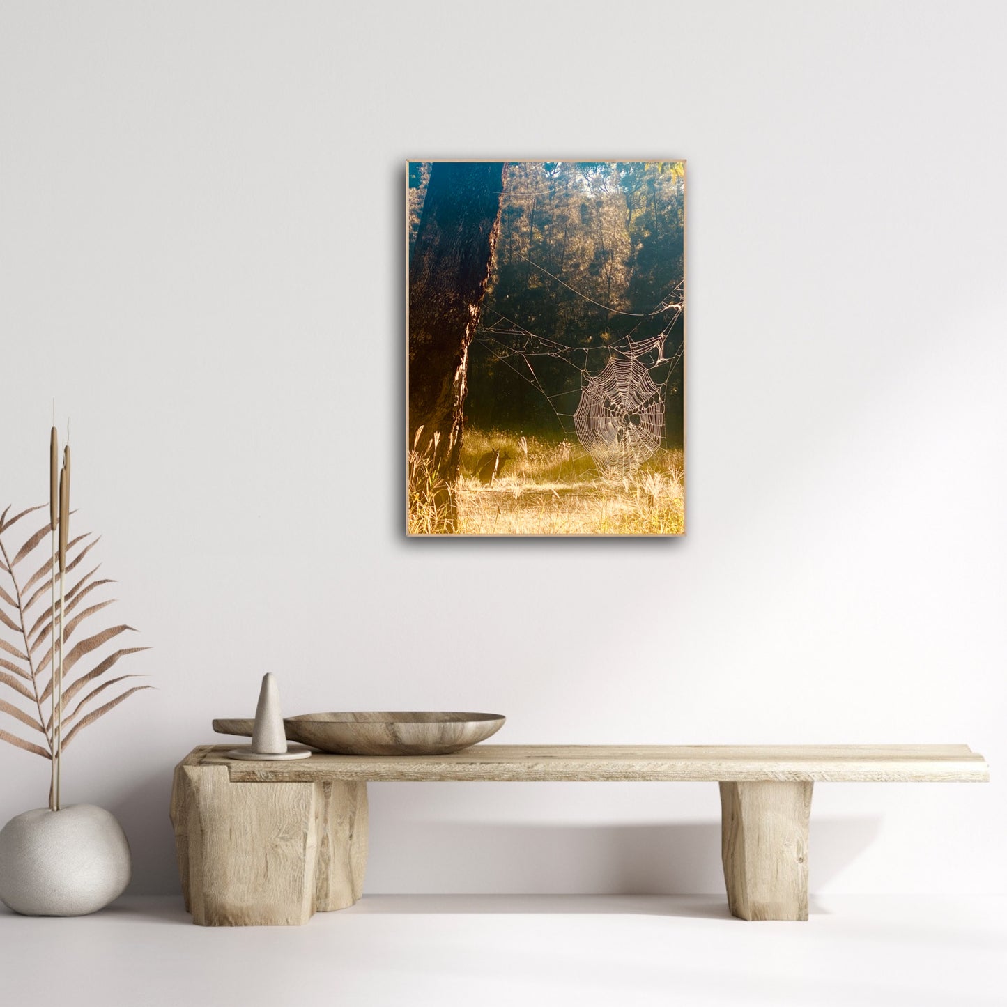 "Architects of the Wild" Fine Art Photography