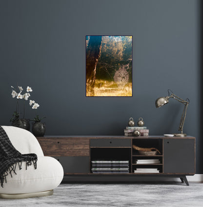 "Architects of the Wild" Fine Art Photography