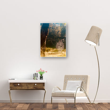 "Architects of the Wild" Fine Art Photography