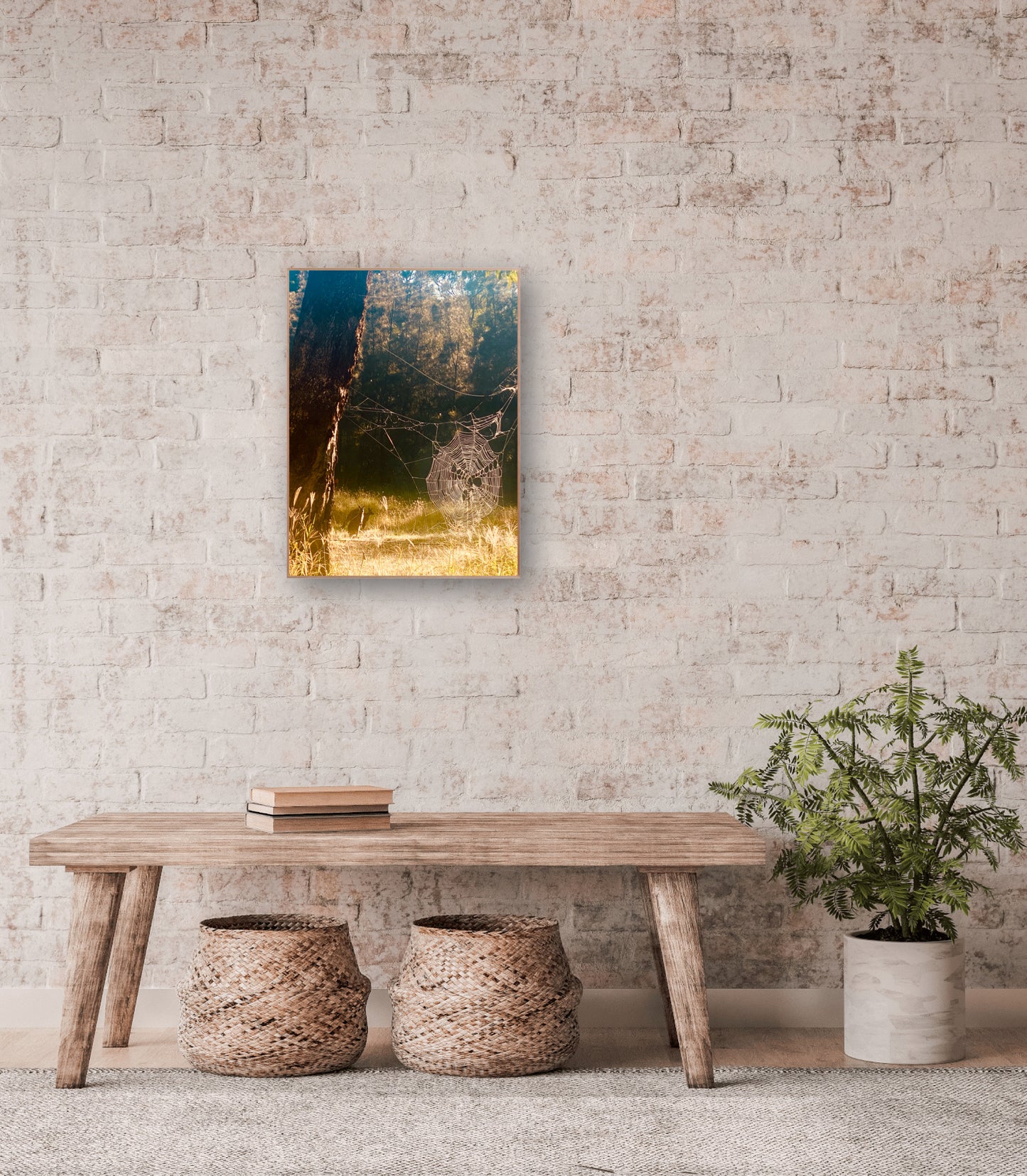 "Architects of the Wild" Fine Art Photography
