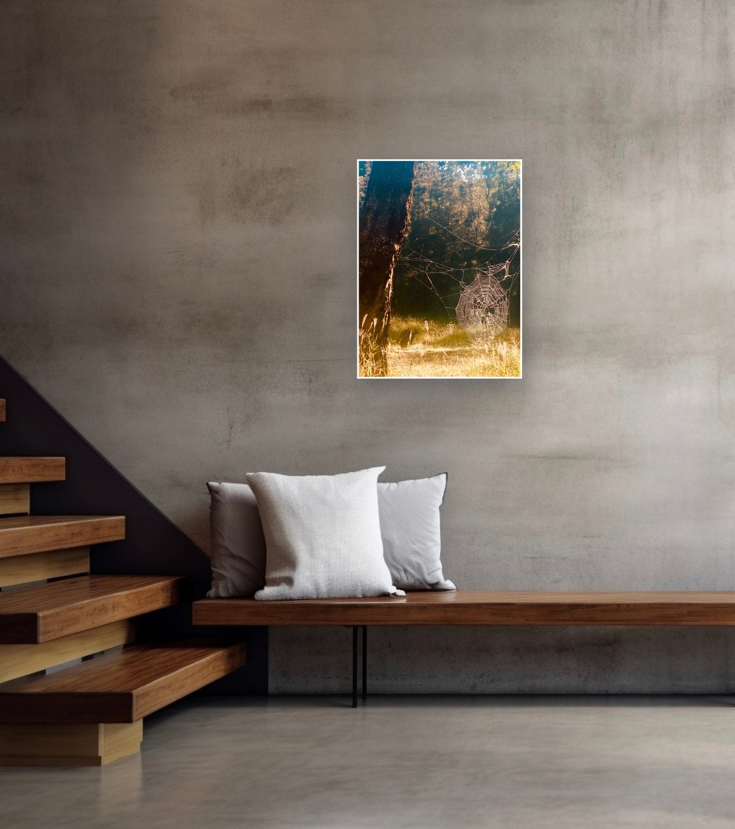 "Architects of the Wild" Fine Art Photography