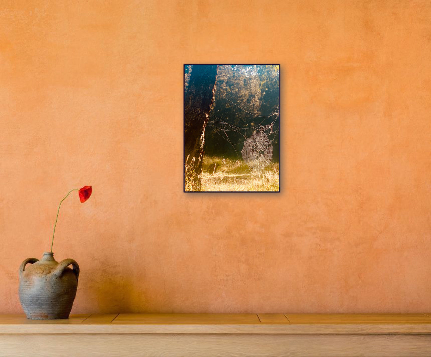 "Architects of the Wild" Fine Art Photography