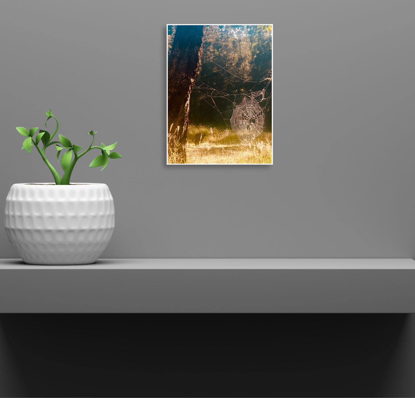 "Architects of the Wild" Fine Art Photography