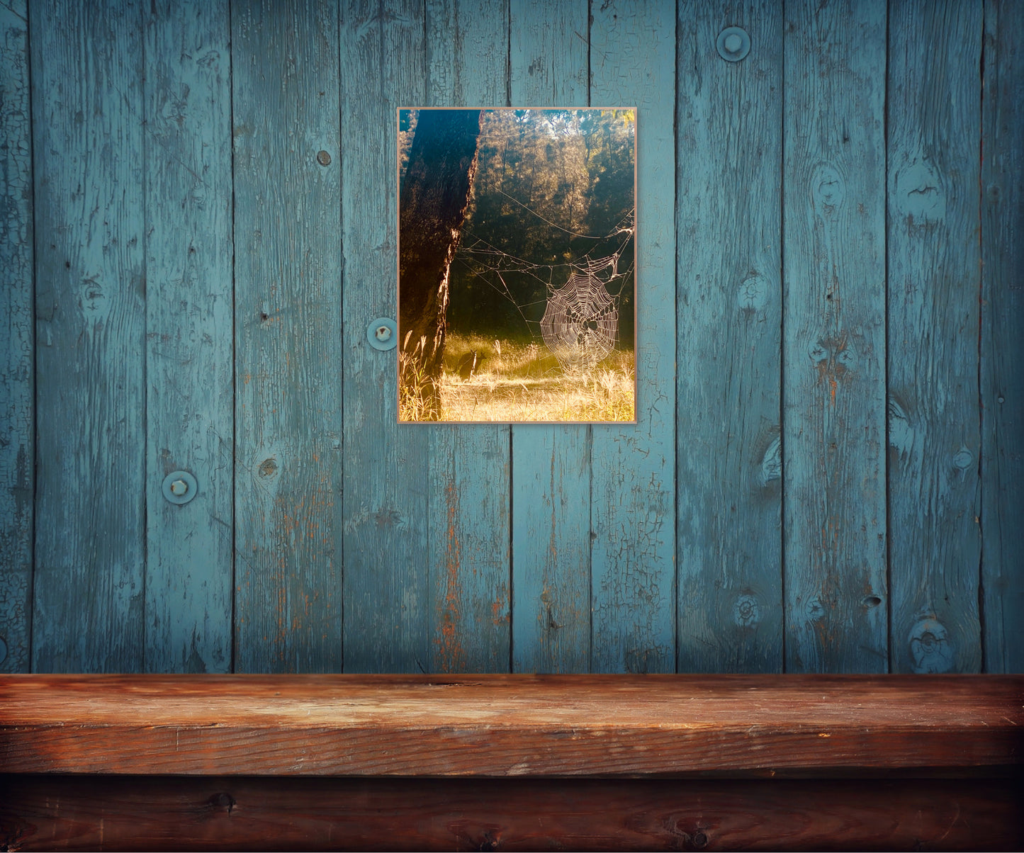 "Architects of the Wild" Fine Art Photography