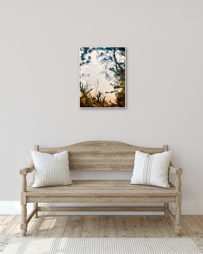 "Woven in the Wilderness"  Fine Art Photography