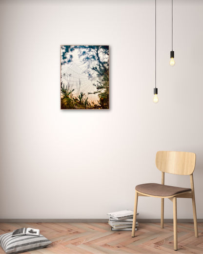 "Woven in the Wilderness"  Fine Art Photography
