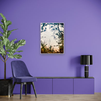 "Woven in the Wilderness"  Fine Art Photography