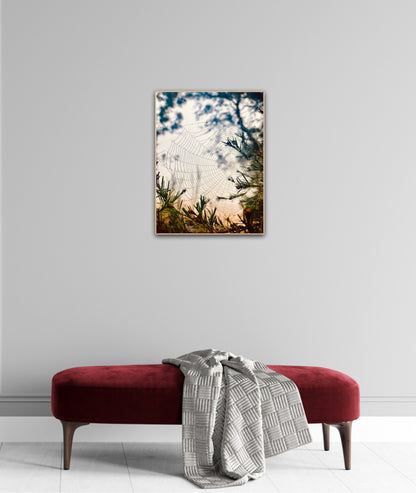 "Woven in the Wilderness"  Fine Art Photography