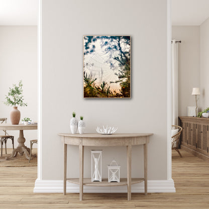 "Woven in the Wilderness"  Fine Art Photography