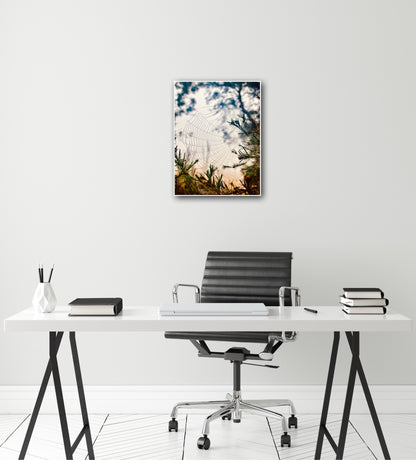 "Woven in the Wilderness"  Fine Art Photography