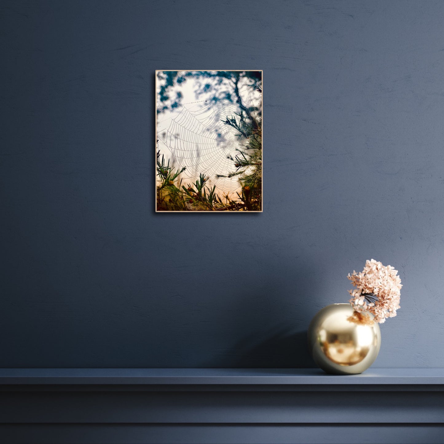 "Woven in the Wilderness"  Fine Art Photography