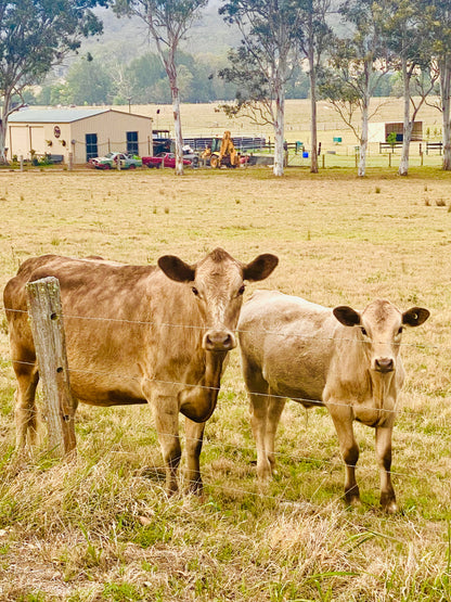 "Country Companions" Fine Art Photography