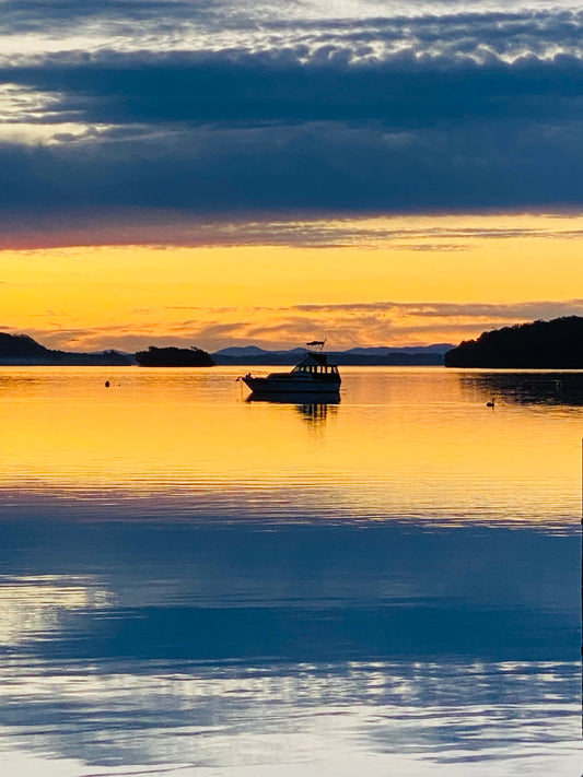 "A Symphony in Gold" Fine Art Photography
