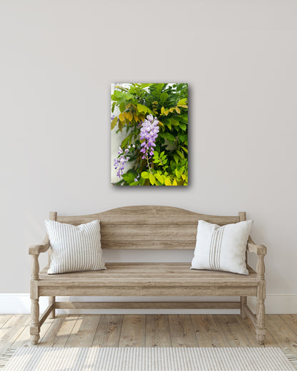"A Symphony in Purple and Green" Fine Art Photography
